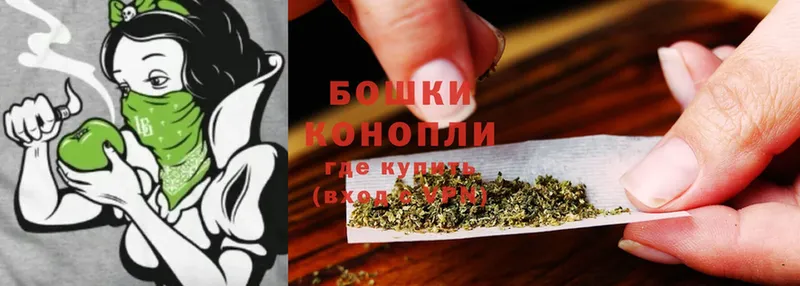 Марихуана SATIVA & INDICA  купить   кракен зеркало  Новодвинск 